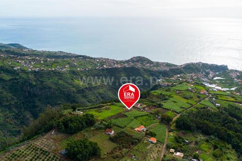 Helårsgrund i Ponta do Sol, Madeira, Ponta do Sol - € 75.000 | Ref: 081250301 - foto 7