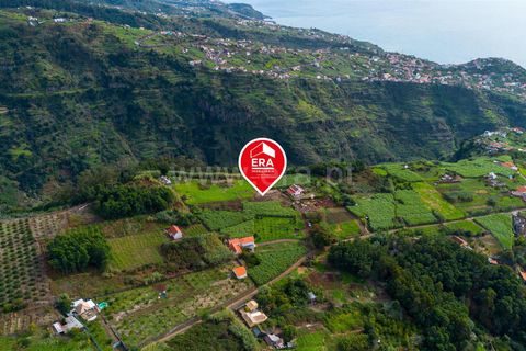 Helårsgrund i Ponta do Sol, Madeira, Ponta do Sol - € 75.000 | Ref: 081250301 - foto 8