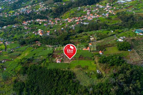 Helårsgrund i Ponta do Sol, Madeira, Ponta do Sol - € 75.000 | Ref: 081250301 - foto 9