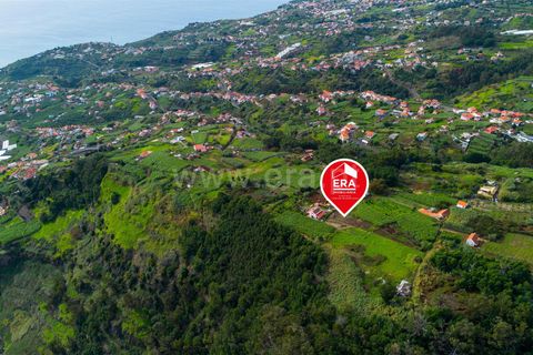 Helårsgrund i Ponta do Sol, Madeira, Ponta do Sol - € 75.000 | Ref: 081250301 - foto 10