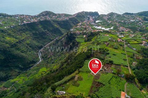 Helårsgrund i Ponta do Sol, Madeira, Ponta do Sol - € 75.000 | Ref: 081250301 - foto 11