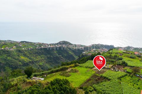 Helårsgrund i Ponta do Sol, Madeira, Ponta do Sol - € 75.000 | Ref: 081250301 - foto 12