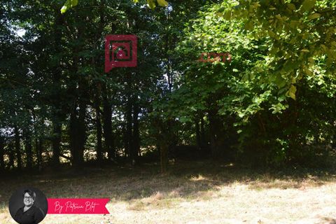 Villa i Saint-Grave, Morbihan, Saint-Grave - € 340.000 | Ref: 417860PBLO1PBLO12PBLO - foto 17