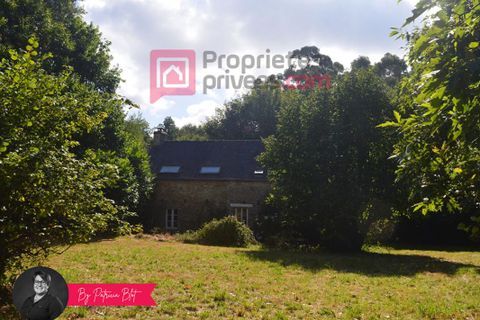 Villa i Saint-Grave, Morbihan, Saint-Grave - € 340.000 | Ref: 417860PBLO1PBLO12PBLO - foto 18