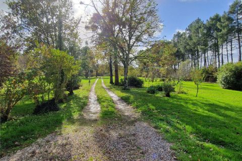 Villa i Bazas, Gironde, Bazas - € 375.000 | Ref: 430920MPAR - foto 9