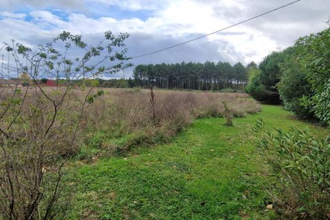 Villa i Bazas, Gironde, Bazas - € 375.000 | Ref: 430920MPAR - foto 11