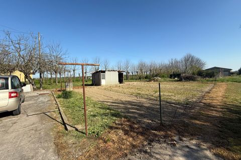 Villa a Ceregnano, Rovigo, Ceregnano - € 105.000 | Ref: Mcsc126 - foto 3