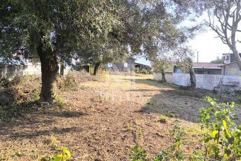 Helårsgrund i Barroselas, Viana do Castelo, Barroselas - € 70.000 | Ref: S234 - foto 4