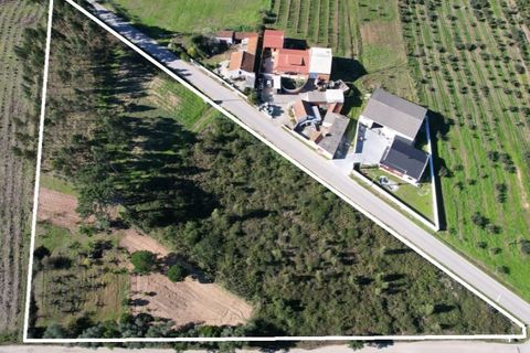 Helårsgrund i Carvalhal, Leiria, Carvalhal - € 150.000 | Ref: PTC20250116.3 - foto 2