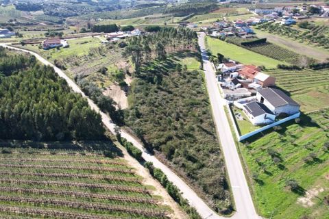 Helårsgrund i Carvalhal, Leiria, Carvalhal - € 150.000 | Ref: PTC20250116.3 - foto 3