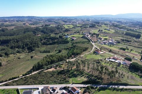 Helårsgrund i Carvalhal, Leiria, Carvalhal - € 150.000 | Ref: PTC20250116.3 - foto 4