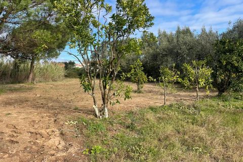 Helårsgrund i Carvalhal, Leiria, Carvalhal - € 150.000 | Ref: PTC20250116.3 - foto 6