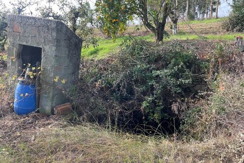 Helårsgrund i Carvalhal, Leiria, Carvalhal - € 150.000 | Ref: PTC20250116.3 - foto 9