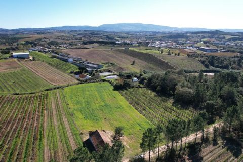 Landejendom i Carvalhal, Leiria, Carvalhal - € 75.000 | Ref: PTC20250116.2 - foto 2