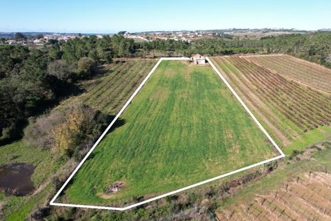 Landejendom i Carvalhal, Leiria, Carvalhal - € 75.000 | Ref: PTC20250116.2 - foto 1