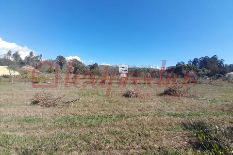 Villa i Macinhata do Vouga, Aveiro, Macinhata do Vouga - € 350.000 | Ref: 4320 - foto 7