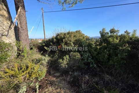 Helårsgrund i Tomar, Santarem, Tomar - € 47.000 | Ref: 01839-25 - foto 5