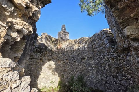 Helårsgrund i Tomar, Santarem, Tomar - € 47.000 | Ref: 01839-25 - foto 13