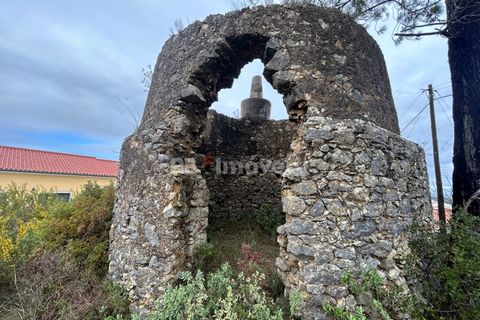 Helårsgrund i Tomar, Santarem, Tomar - € 47.000 | Ref: 01839-25 - foto 3