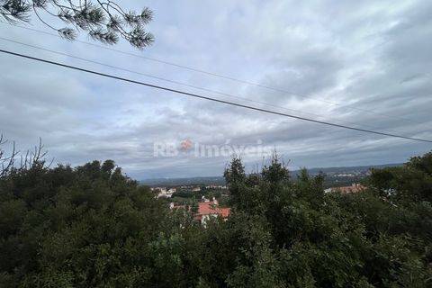 Helårsgrund i Tomar, Santarem, Tomar - € 47.000 | Ref: 01839-25 - foto 8