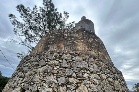 Helårsgrund i Tomar, Santarem, Tomar - € 47.000 | Ref: 01839-25 - foto 10