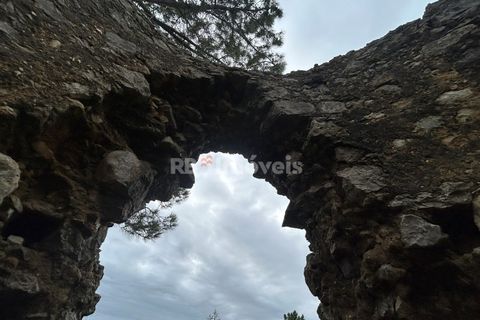 Helårsgrund i Tomar, Santarem, Tomar - € 47.000 | Ref: 01839-25 - foto 11