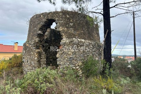 Helårsgrund i Tomar, Santarem, Tomar - € 47.000 | Ref: 01839-25 - foto 2