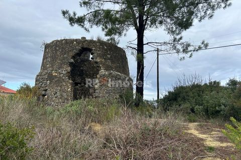 Helårsgrund i Tomar, Santarem, Tomar - € 47.000 | Ref: 01839-25 - foto 15