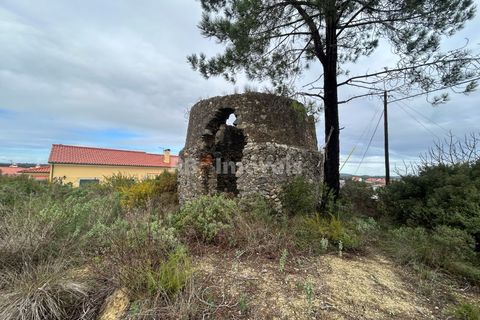Helårsgrund i Tomar, Santarem, Tomar - € 47.000 | Ref: 01839-25 - foto 16