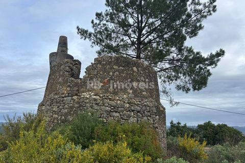 Helårsgrund i Tomar, Santarem, Tomar - € 47.000 | Ref: 01839-25 - foto 18