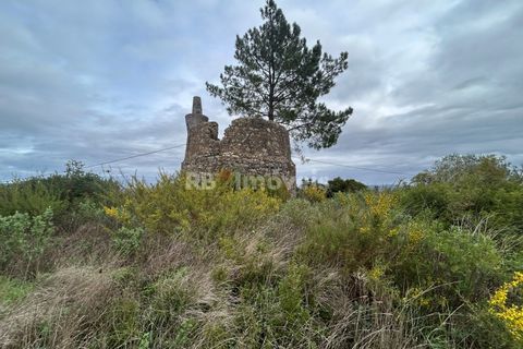 Helårsgrund i Tomar, Santarem, Tomar - € 47.000 | Ref: 01839-25 - foto 19