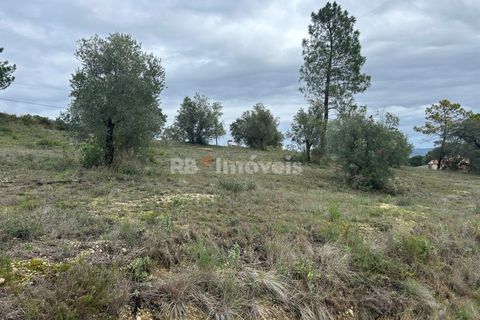 Helårsgrund i Tomar, Santarem, Tomar - € 47.000 | Ref: 01839-25 - foto 24