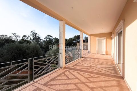 Villa i Tomar, Santarem, Tomar - € 430.000 | Ref: 01838-25 - foto 8