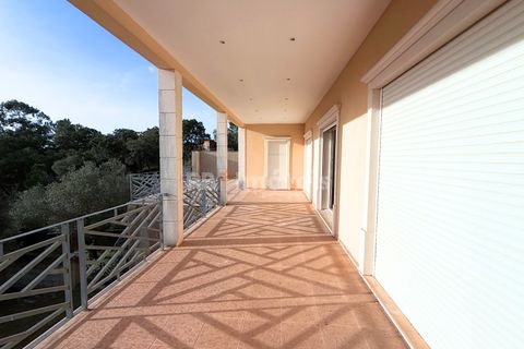 Villa i Tomar, Santarem, Tomar - € 430.000 | Ref: 01838-25 - foto 25