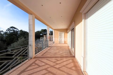 Villa i Tomar, Santarem, Tomar - € 430.000 | Ref: 01838-25 - foto 26