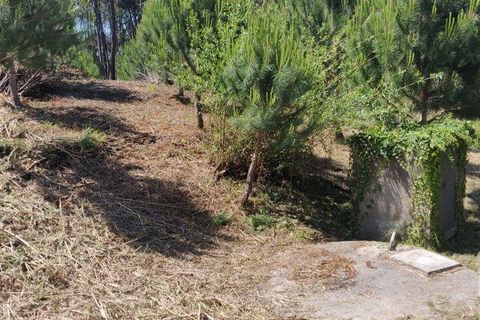 Terra a Leiria, Leiria, Leiria - € 50.000 | Ref: 763799 - foto 4