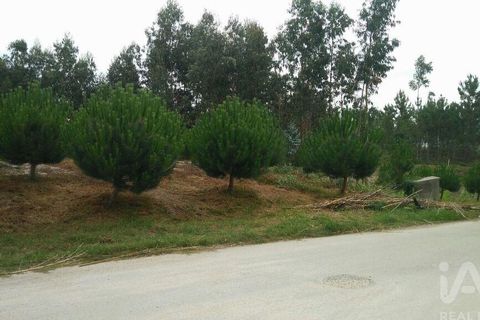 Terra a Leiria, Leiria, Leiria - € 50.000 | Ref: 763799 - foto 7