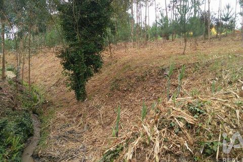 Terra a Leiria, Leiria, Leiria - € 50.000 | Ref: 763799 - foto 8