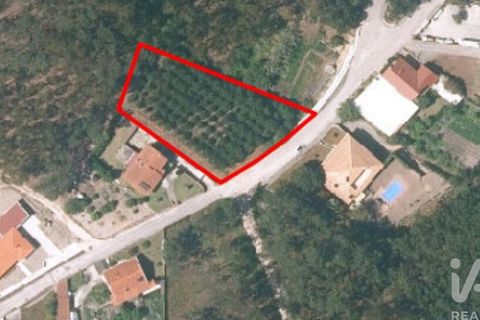 Terra a Leiria, Leiria, Leiria - € 50.000 | Ref: 763799 - foto 9