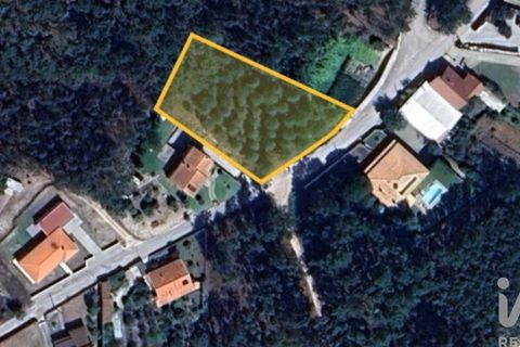 Terra a Leiria, Leiria, Leiria - € 50.000 | Ref: 763799 - foto 10