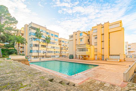 Studio i Calvia, Mallorca - foto 4