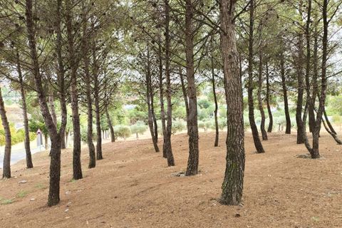 Terra a Madrid, Madrid, Madrid - € 139.000 | Ref: 763757 - foto 6