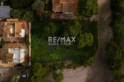 Finca i Porto Cristo Novo, Mallorca - foto 5