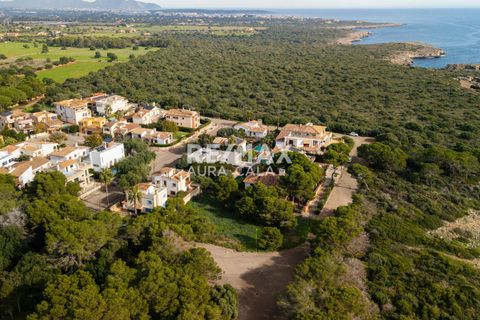 Finca i Porto Cristo Novo, Mallorca - foto 1
