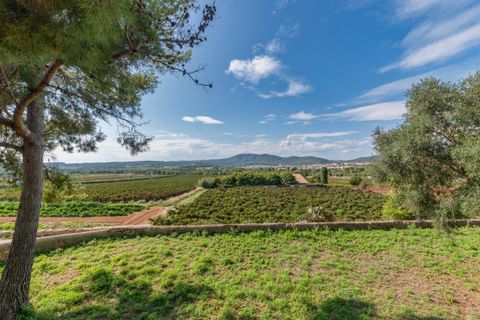 Villa a Sant Pere De Ribes, Barcelona, Sant Pere De Ribes - € 4.635.000 | Ref: OI00620/5763 - foto 8