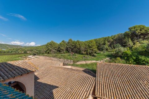 Villa a Sant Pere De Ribes, Barcelona, Sant Pere De Ribes - € 4.635.000 | Ref: OI00620/5763 - foto 24