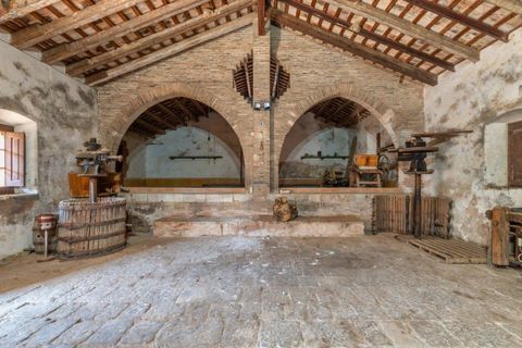 Villa a Sant Pere De Ribes, Barcelona, Sant Pere De Ribes - € 4.635.000 | Ref: OI00620/5763 - foto 27