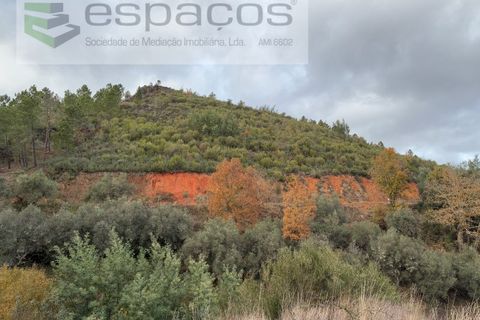Farm i Fundao, Castelo Branco, Fundao - € 23.000 | Ref: 5896/CP-AG - foto 1