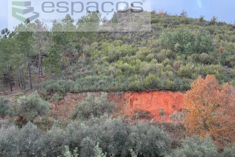 Farm i Fundao, Castelo Branco, Fundao - € 23.000 | Ref: 5896/CP-AG - foto 3