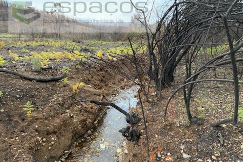 Farm i Fundao, Castelo Branco, Fundao - € 23.000 | Ref: 5896/CP-AG - foto 4